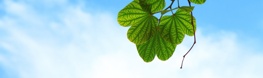 luck18xinli(�й���)-�ٷ���վ